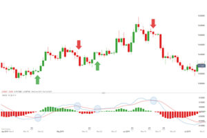 أي نوع من المعلومات يعطي مؤشر MACD؟